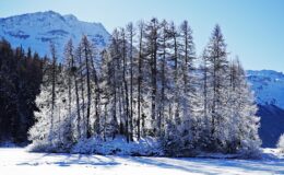 013 - eine kleine insel